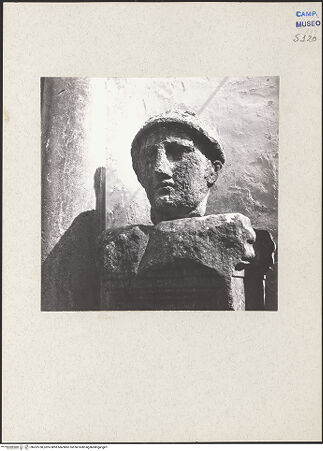 Vorderseite von Bibliotheca Hertziana [https://www.deutsche-digitale-bibliothek.de/content/lizenzen/rv-fz/] Männlicher Kopf - Gesamtansicht, bh202738_recto. Foto: Lehmann-Brockhaus, Otto.