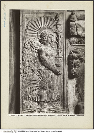 Vorderseite von bh202793_recto