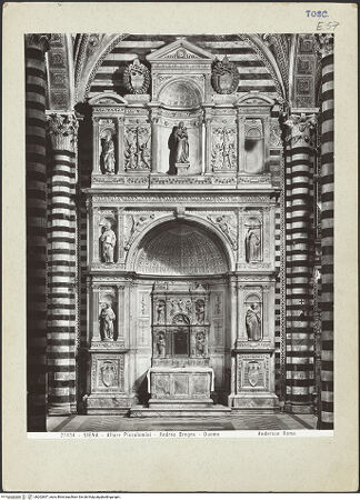 Vorderseite von bh202837_recto