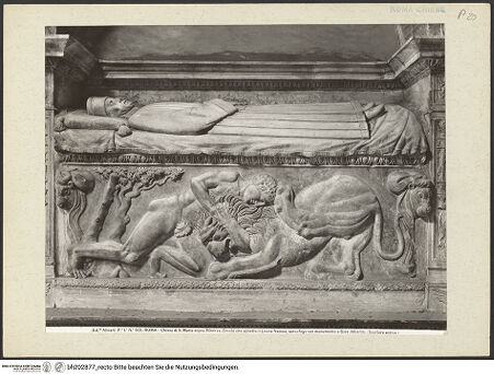 Vorderseite von Alinari [https://www.deutsche-digitale-bibliothek.de/content/lizenzen/rv-ez/] Grabmal des Giovanni Arberini mit antikem Herkules-Relief - Sarkophag und Inschrift, bh202877_recto. Foto.