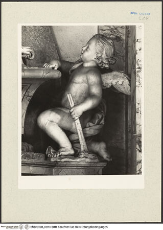 Vorderseite von bh203008_recto