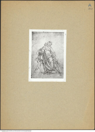 Vorderseite von bh203043_recto