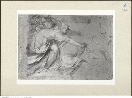 Vorderseite von bh203047_recto