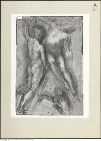 Vorderseite von bh203048_recto