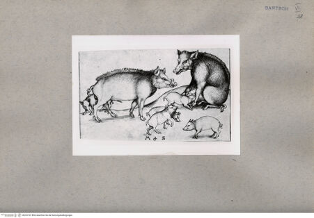 Vorderseite von  [http://creativecommons.org/publicdomain/mark/1.0/] ... - , bh203102. Foto.