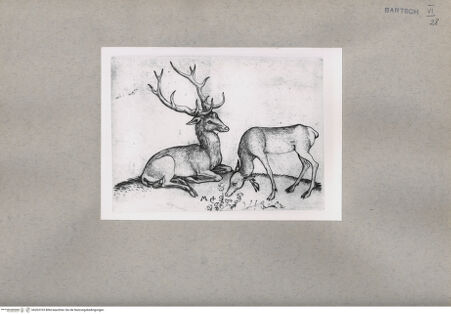 Vorderseite von  [http://creativecommons.org/publicdomain/mark/1.0/] ... - , bh203103. Foto.