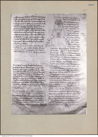 Vorderseite von bh203184_recto