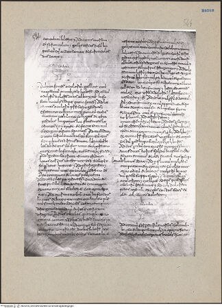 Vorderseite von bh203185_recto