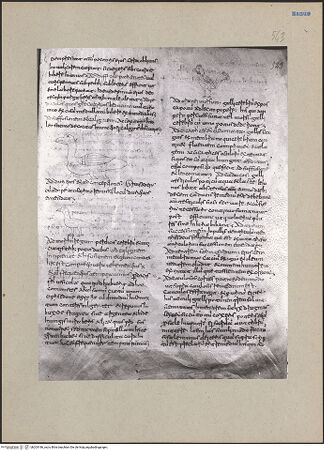 Vorderseite von bh203186_recto