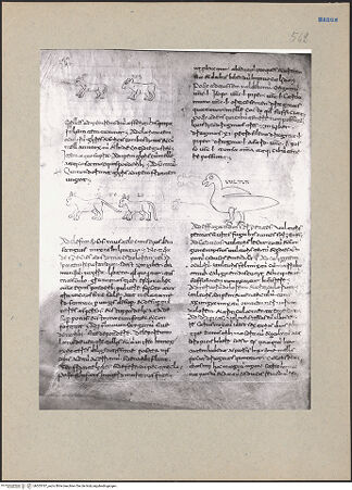 Vorderseite von bh203187_recto