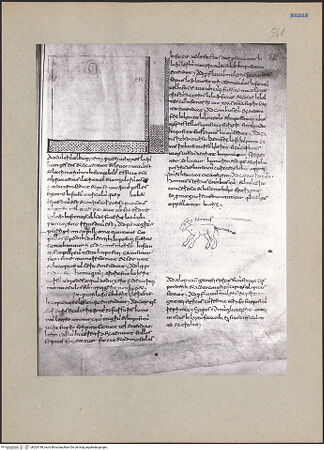 Vorderseite von bh203188_recto