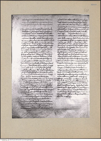 Vorderseite von bh203189_recto