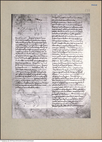 Vorderseite von bh203190_recto