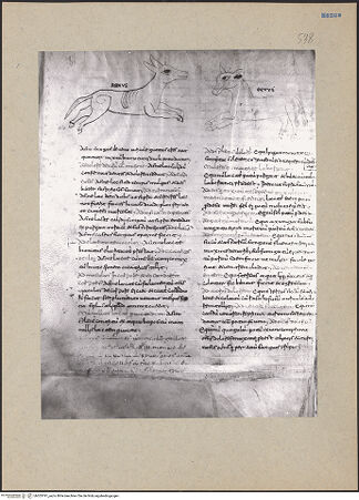 Vorderseite von bh203191_recto