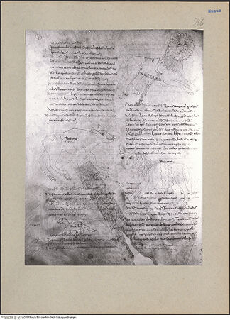 Vorderseite von bh203193_recto