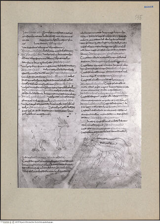 Vorderseite von bh203194_recto