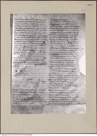 Vorderseite von bh203195_recto