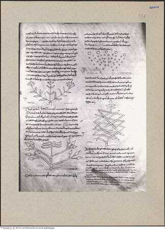 Vorderseite von bh203197_recto