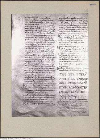 Vorderseite von bh203206_recto