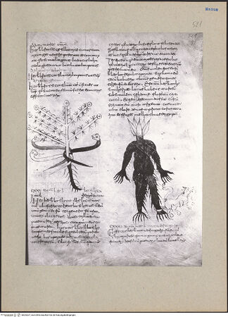 Vorderseite von bh203207_recto