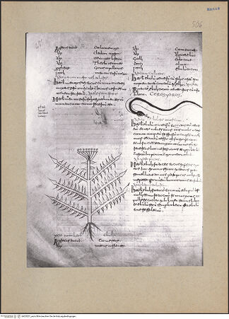 Vorderseite von bh203221_recto