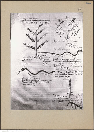 Vorderseite von bh203231_recto