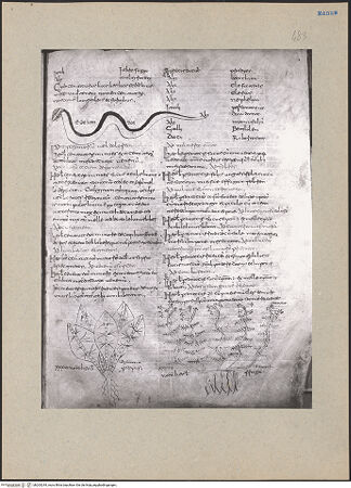 Vorderseite von bh203244_recto