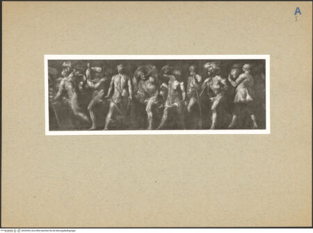 Vorderseite von bh203269_recto