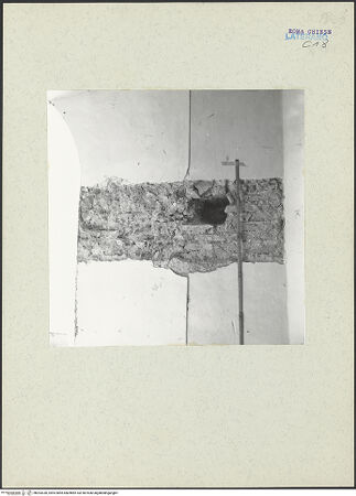 Vorderseite von bh203330_recto