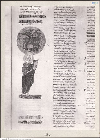 Vorderseite von bh203340_recto