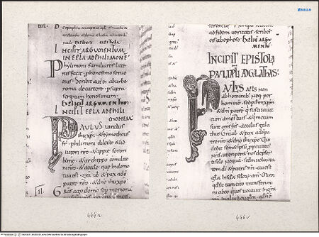 Vorderseite von bh203351_bh203352_recto