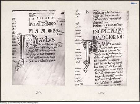 Vorderseite von bh203353_bh203354_recto