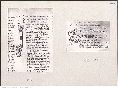 Vorderseite von bh203355_bh203356_recto