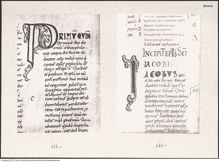 Vorderseite von bh203361_bh203362_recto