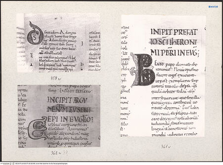 Vorderseite von bh203378_bh203379_bh203380_recto