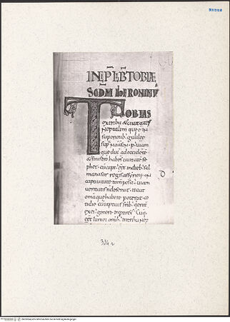 Vorderseite von bh203384_recto