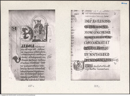 Vorderseite von bh203390_bh203391_recto