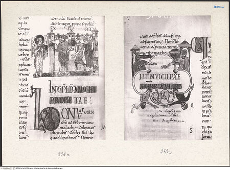 Vorderseite von bh203394_bh203395_recto