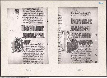 Vorderseite von bh203404_bh203405_recto