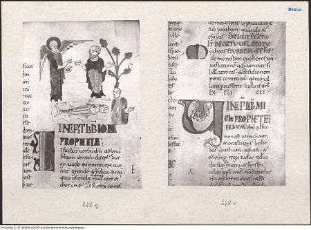 Vorderseite von bh203406_bh203407_recto