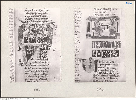 Vorderseite von bh203412_bh203413_recto