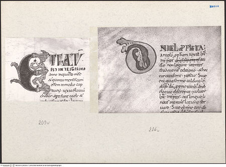 Vorderseite von bh203416_bh203417_recto