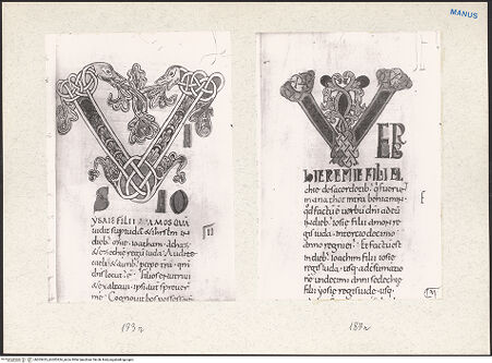 Vorderseite von bh203423_bh203424_recto