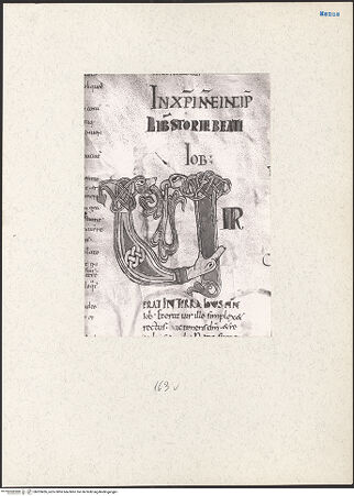 Vorderseite von bh203426_recto