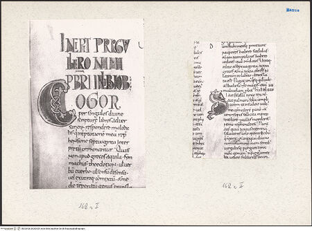 Vorderseite von bh203428_bh203429_recto