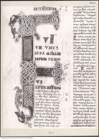 Vorderseite von bh203432_recto