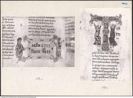 Vorderseite von bh203440_bh203441_recto