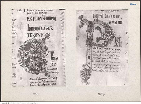 Vorderseite von bh203442_bh203443_recto