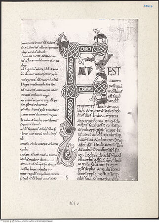 Vorderseite von bh203444_recto