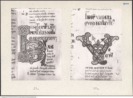 Vorderseite von bh203446_bh203447_recto